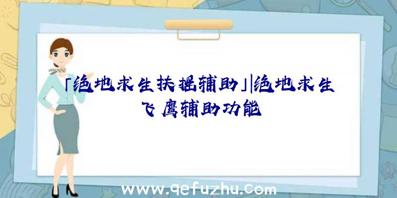 「绝地求生扶摇辅助」|绝地求生飞鹰辅助功能